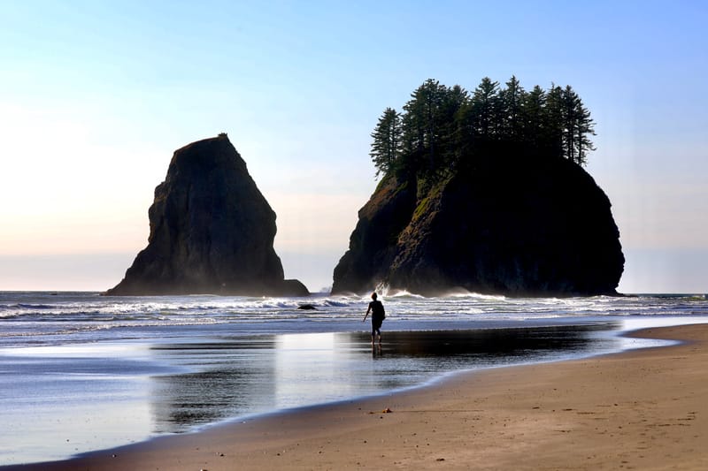 Péninsule Olympique : Port Townsend, La Push, Ruby Beach, Hoh Rain Forest