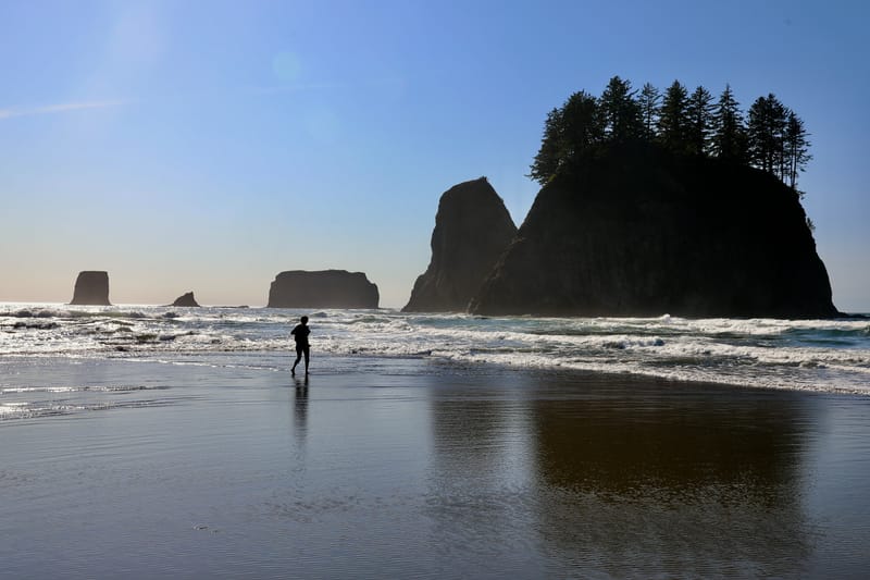 Péninsule Olympique : Port Townsend, La Push, Ruby Beach, Hoh Rain Forest