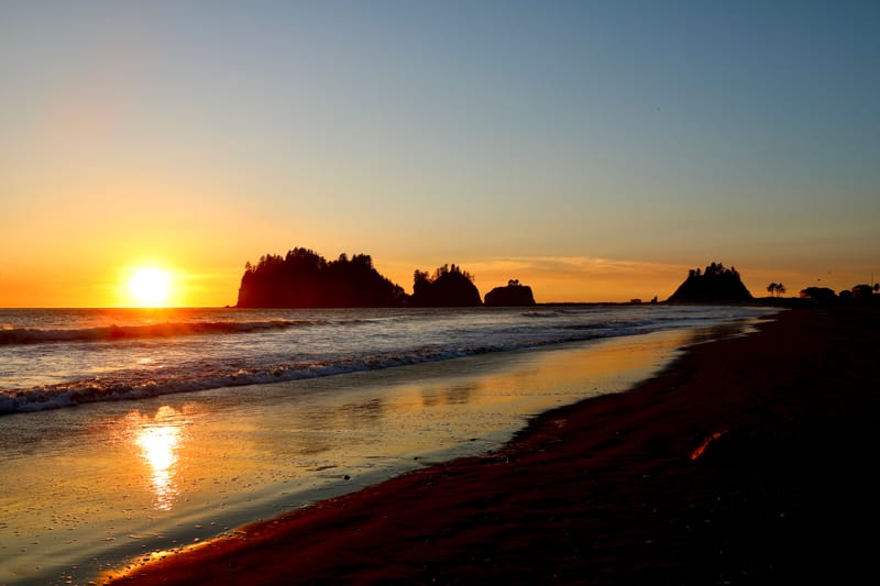 Péninsule Olympique : Port Townsend, La Push, Ruby Beach, Hoh Rain Forest