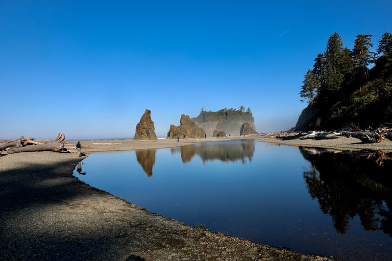 Péninsule Olympique : Port Townsend, La Push, Ruby Beach, Hoh Rain Forest