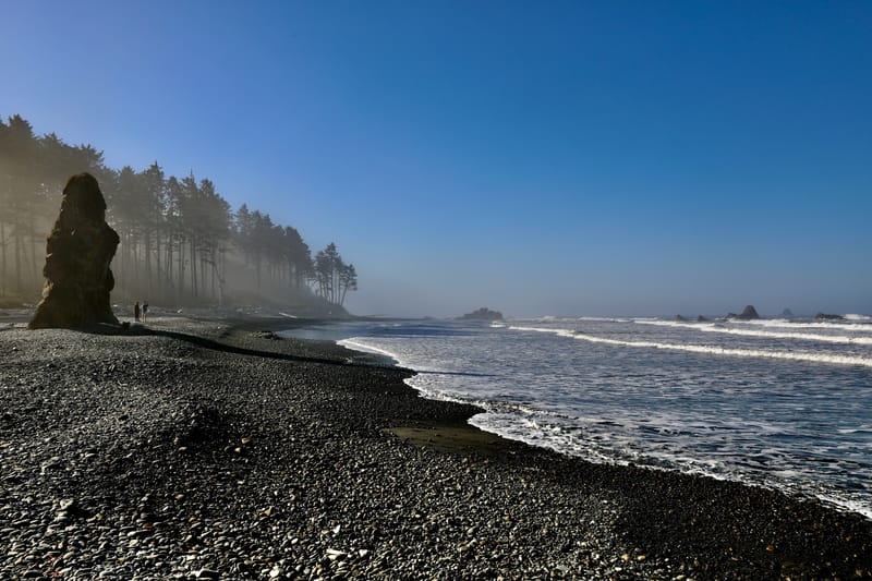 Péninsule Olympique : Port Townsend, La Push, Ruby Beach, Hoh Rain Forest