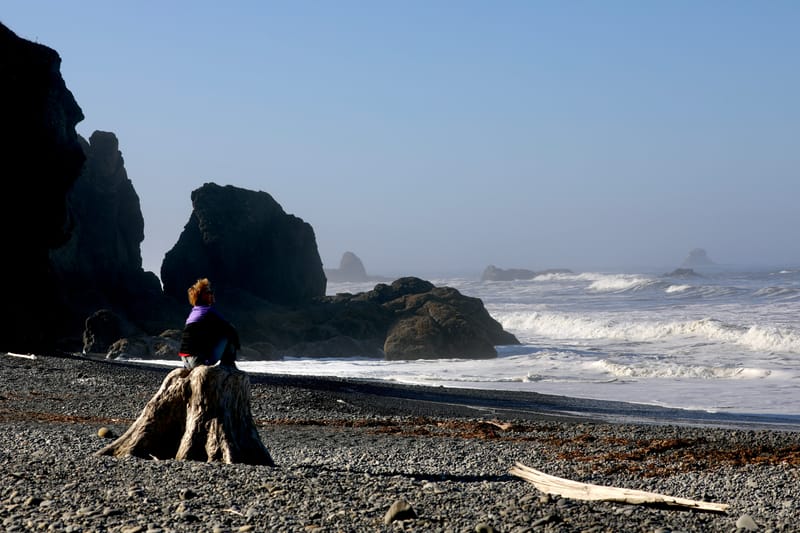 Péninsule Olympique : Port Townsend, La Push, Ruby Beach, Hoh Rain Forest