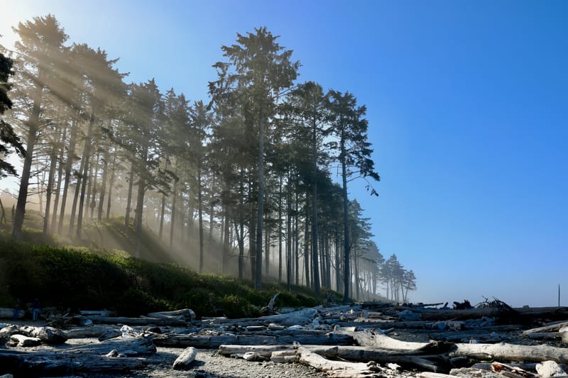 Péninsule Olympique : Port Townsend, La Push, Ruby Beach, Hoh Rain Forest