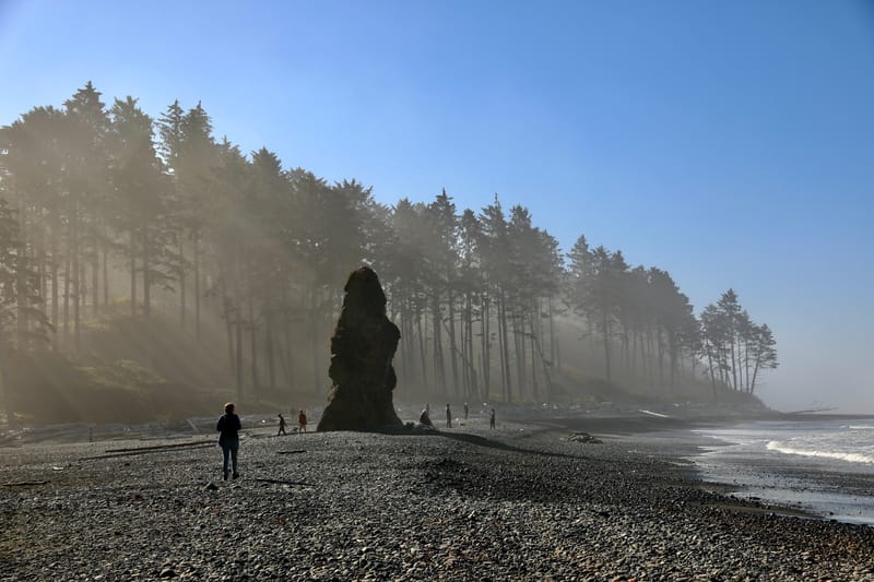 Péninsule Olympique : Port Townsend, La Push, Ruby Beach, Hoh Rain Forest