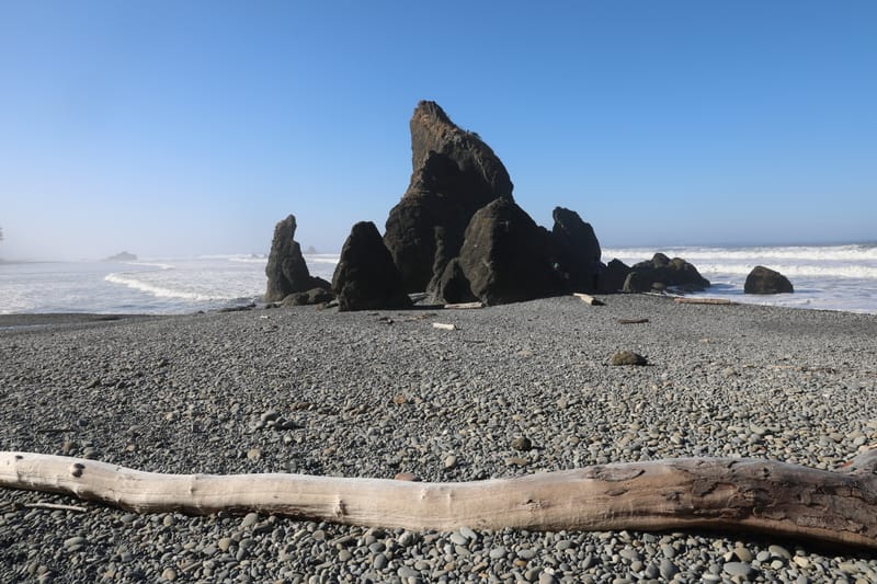 Péninsule Olympique : Port Townsend, La Push, Ruby Beach, Hoh Rain Forest