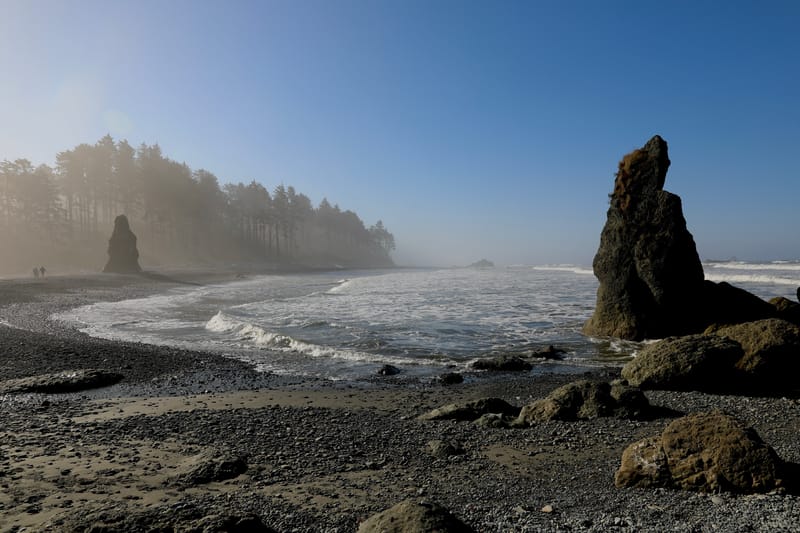 Péninsule Olympique : Port Townsend, La Push, Ruby Beach, Hoh Rain Forest