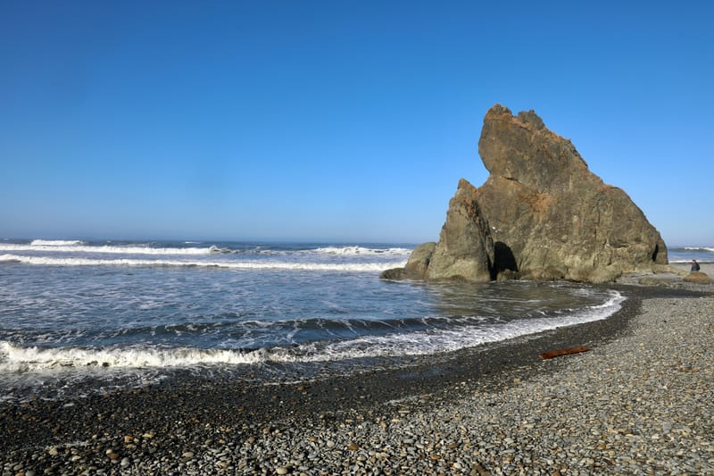 Péninsule Olympique : Port Townsend, La Push, Ruby Beach, Hoh Rain Forest