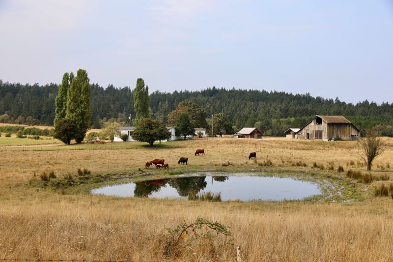 San Juan & Whidbay Island (Etat de Washington)