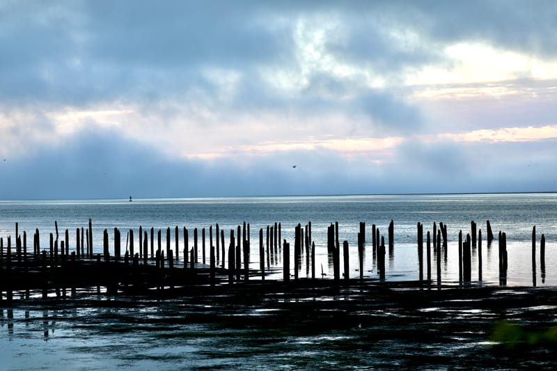 Cotes de l'Oregon 1 : Astoria City & Columbia River