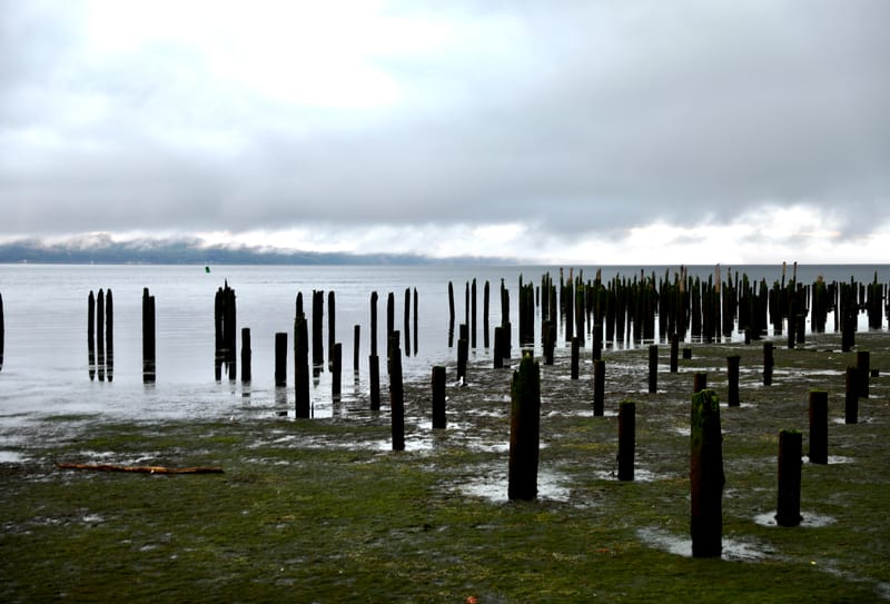 Cotes de l'Oregon 1 : Astoria City & Columbia River