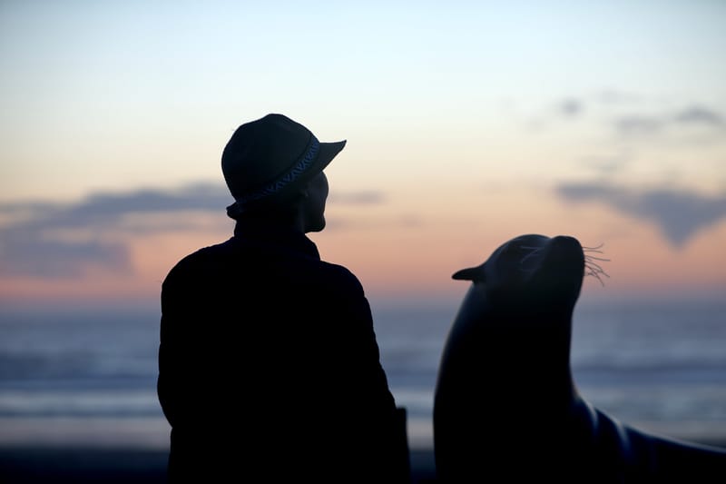 Cotes de l'Oregon 2 : Cannon Beach, Three Capes Scenic Drive, Yachats, Dunes