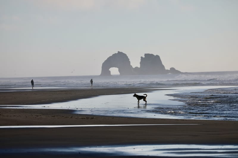 Cotes de l'Oregon 2 : Cannon Beach, Three Capes Scenic Drive, Yachats, Dunes
