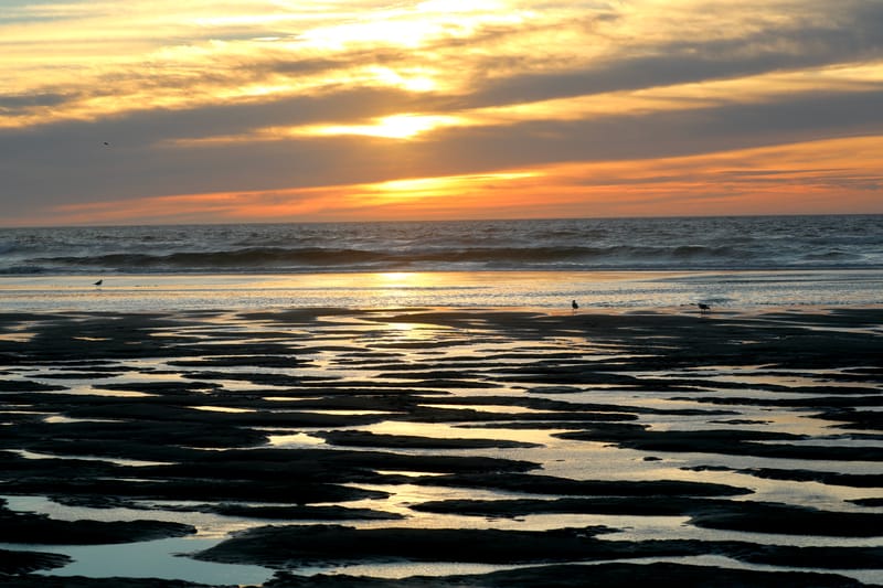 Cotes de l'Oregon 2 : Cannon Beach, Three Capes Scenic Drive, Yachats, Dunes