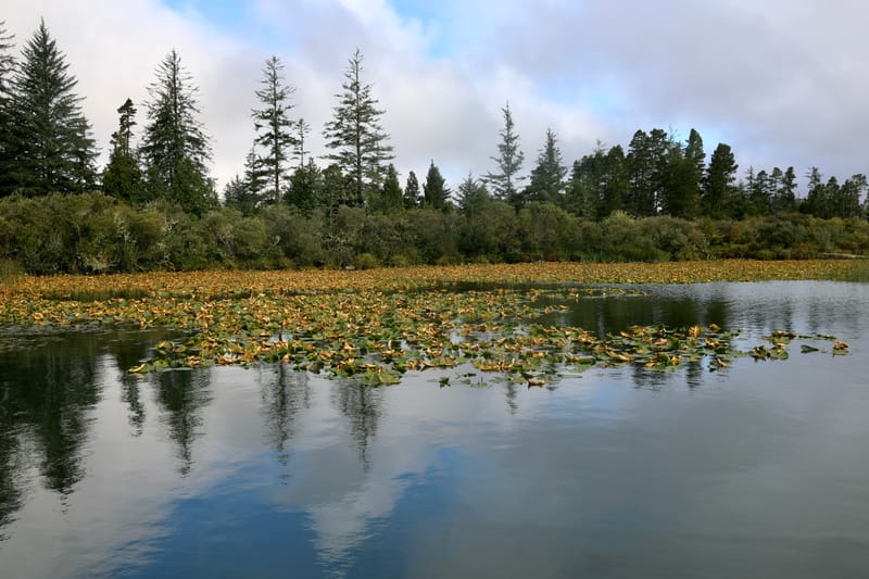 Oregon Est 2 : Bend, Newberry Ntl Volcanic Monument, Lava Lands, Paulina Peak