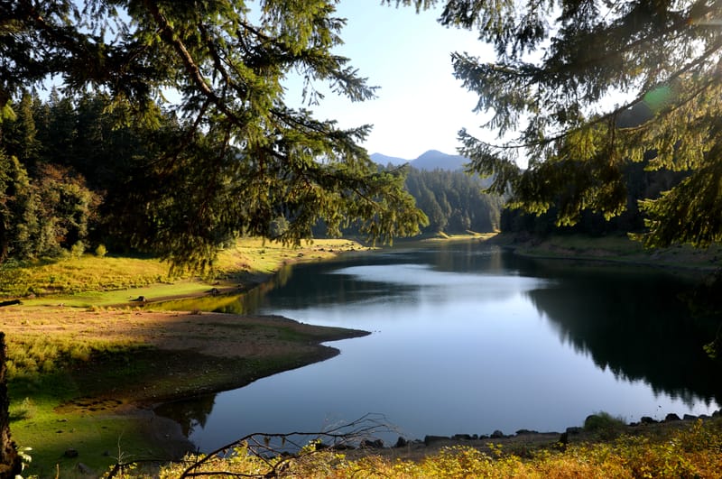 Oregon Est 2 : Bend, Newberry Ntl Volcanic Monument, Lava Lands, Paulina Peak
