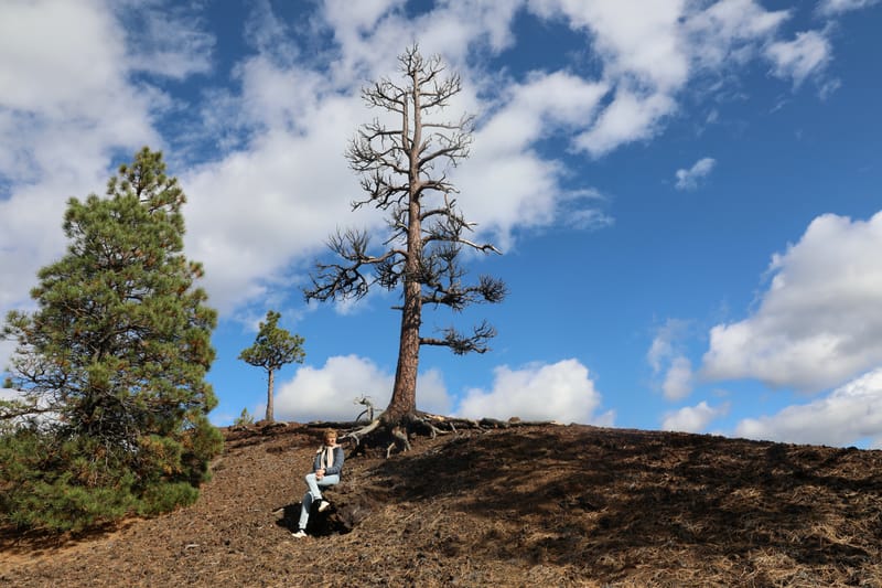 Oregon Est 2 : Bend, Newberry Ntl Volcanic Monument, Lava Lands, Paulina Peak