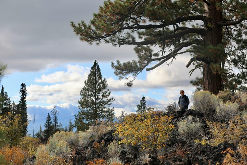 Oregon Est 2 : Bend, Newberry Ntl Volcanic Monument, Lava Lands, Paulina Peak