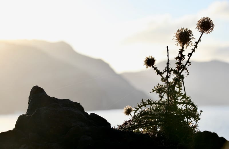 2. GRECE, Santorin et la cité d'Oia (cette fois ci à l'HRZ)