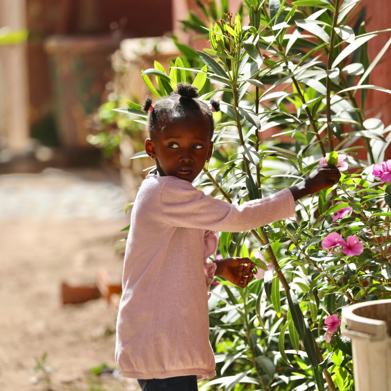 4. DAKAR 4 : l'île de Gorée, aux racines de l'esclavage