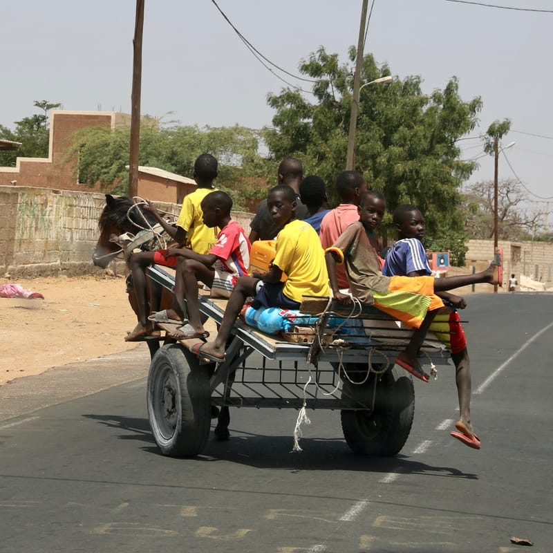 6. Désert de baobabs sur la route de Saint Louis