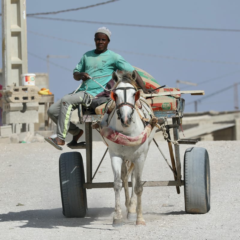 5. En passant par le lac Rose... et les plages de l'Atlantique