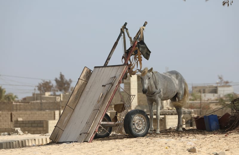 5. En passant par le lac Rose... et les plages de l'Atlantique