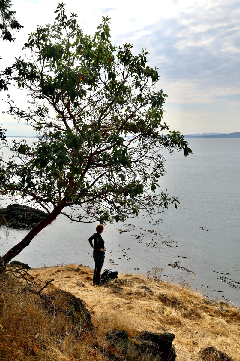 San Juan & Whidbay Island (Etat de Washington)