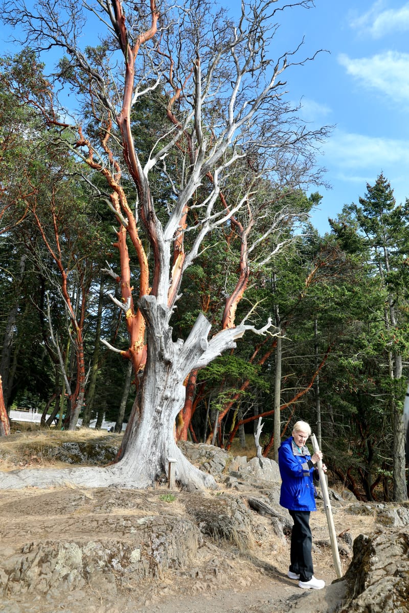 San Juan & Whidbay Island (Etat de Washington)