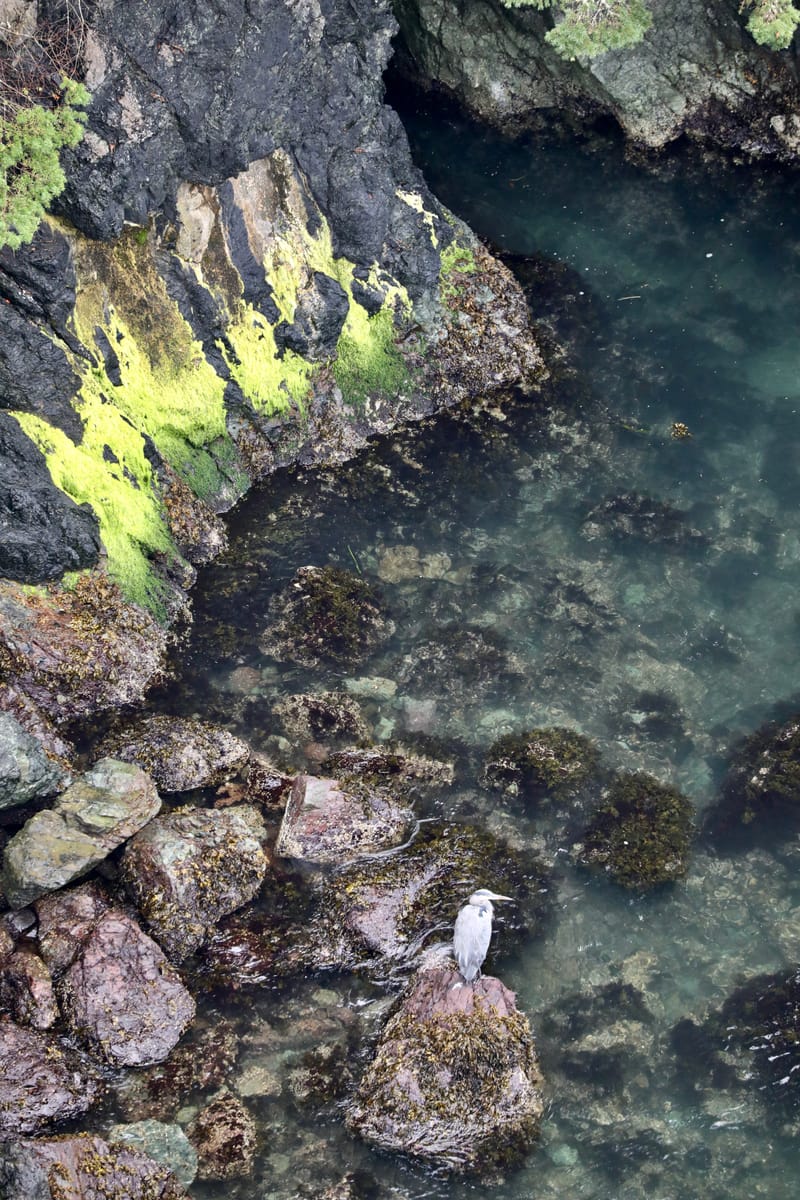 San Juan & Whidbay Island (Etat de Washington)