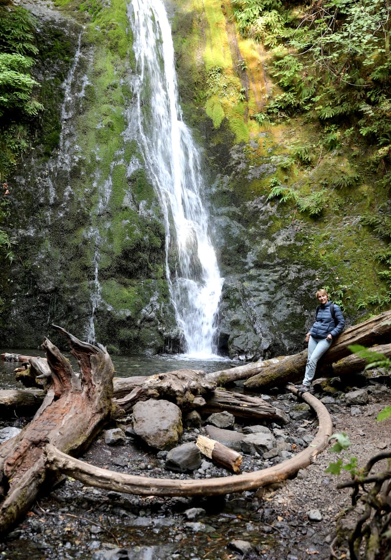 Péninsule Olympique : Port Townsend, La Push, Ruby Beach, Hoh Rain Forest