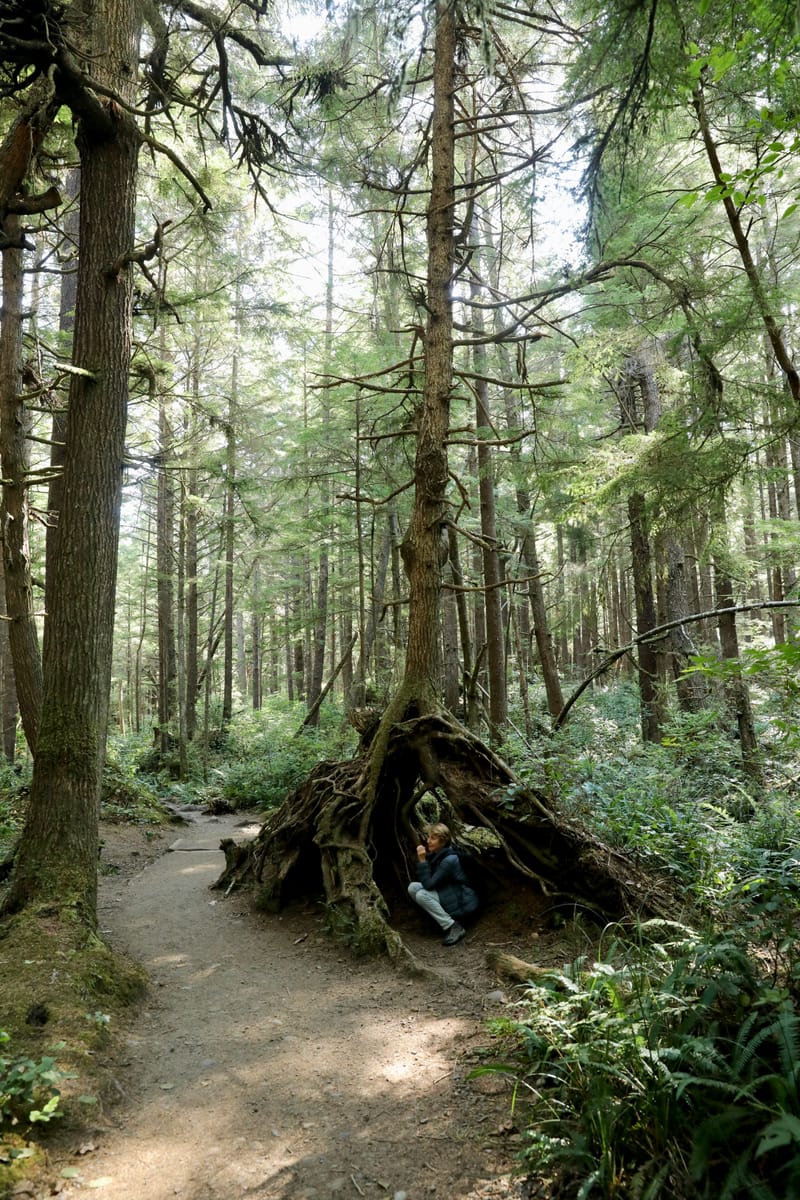 Péninsule Olympique : Port Townsend, La Push, Ruby Beach, Hoh Rain Forest