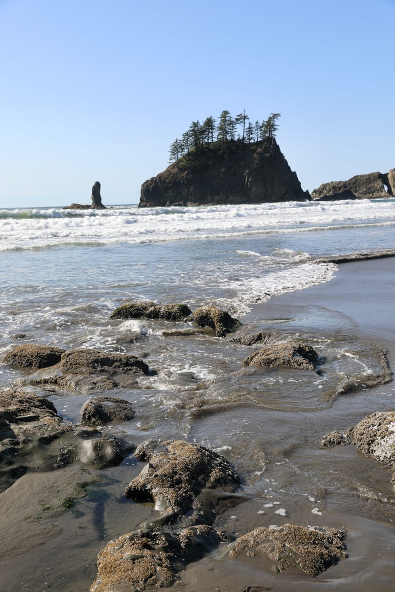 Péninsule Olympique : Port Townsend, La Push, Ruby Beach, Hoh Rain Forest