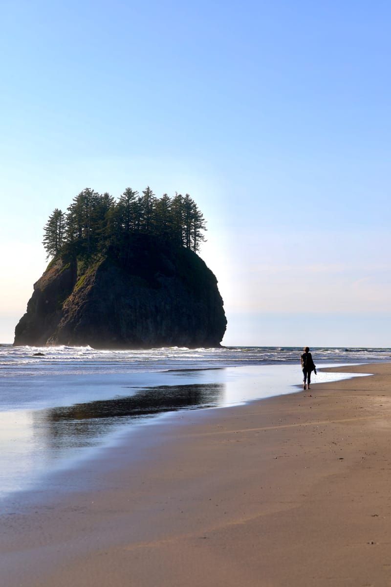 Péninsule Olympique : Port Townsend, La Push, Ruby Beach, Hoh Rain Forest