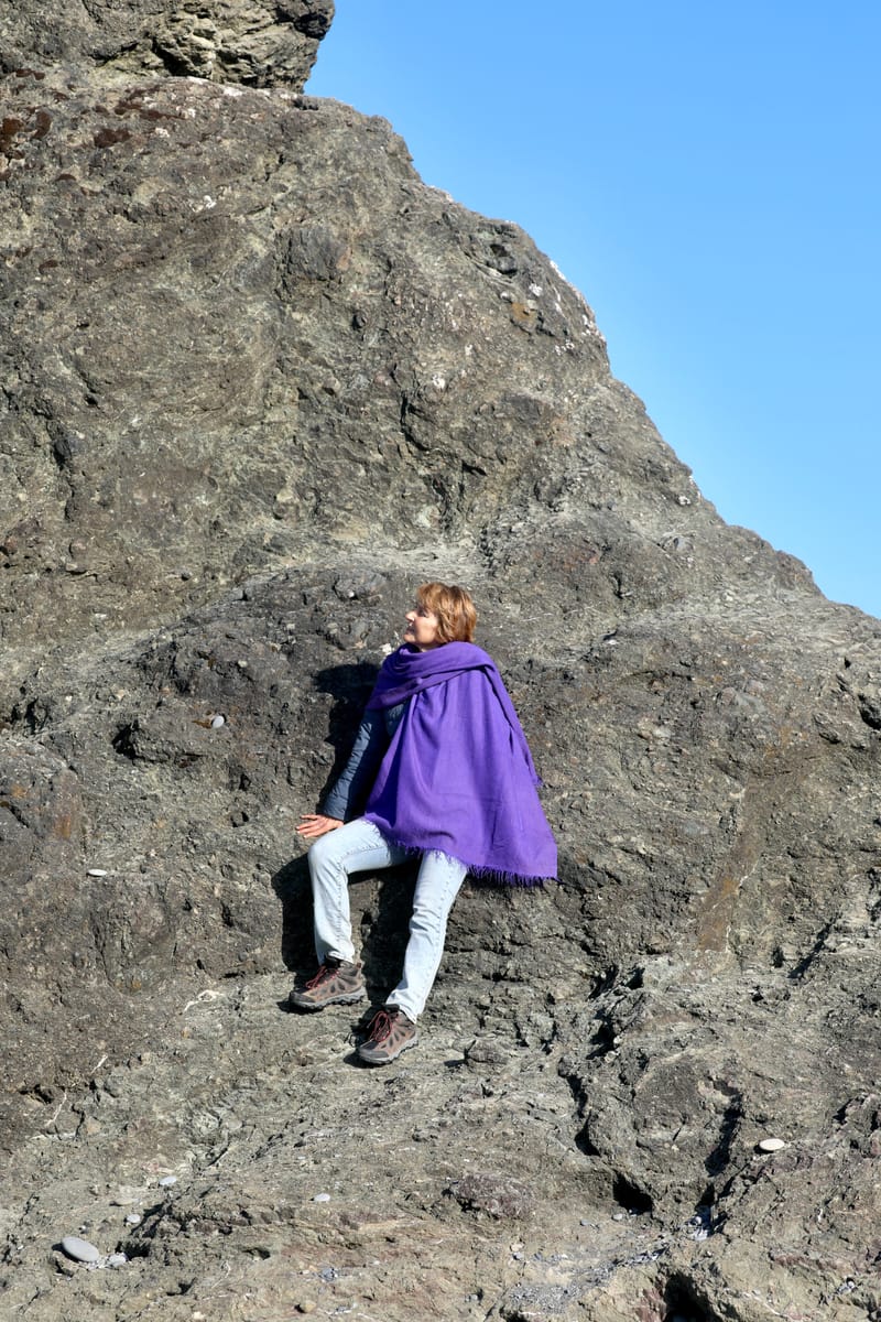 Péninsule Olympique : Port Townsend, La Push, Ruby Beach, Hoh Rain Forest