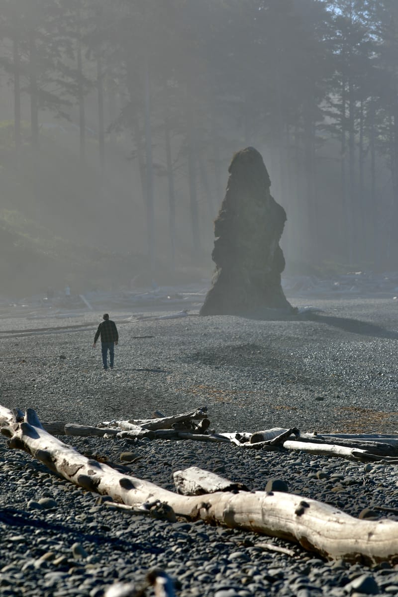 Péninsule Olympique : Port Townsend, La Push, Ruby Beach, Hoh Rain Forest