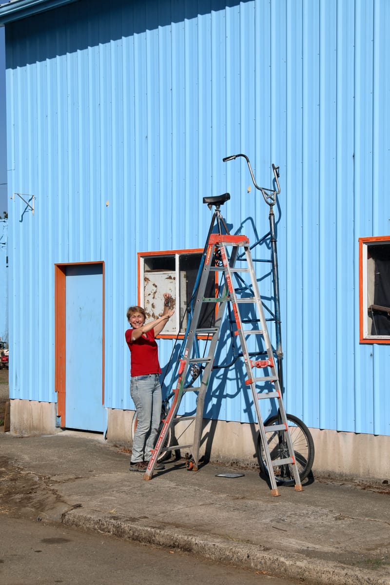 Chaîne volcanique des Cascades : Mount Rainier & Mount St Helens