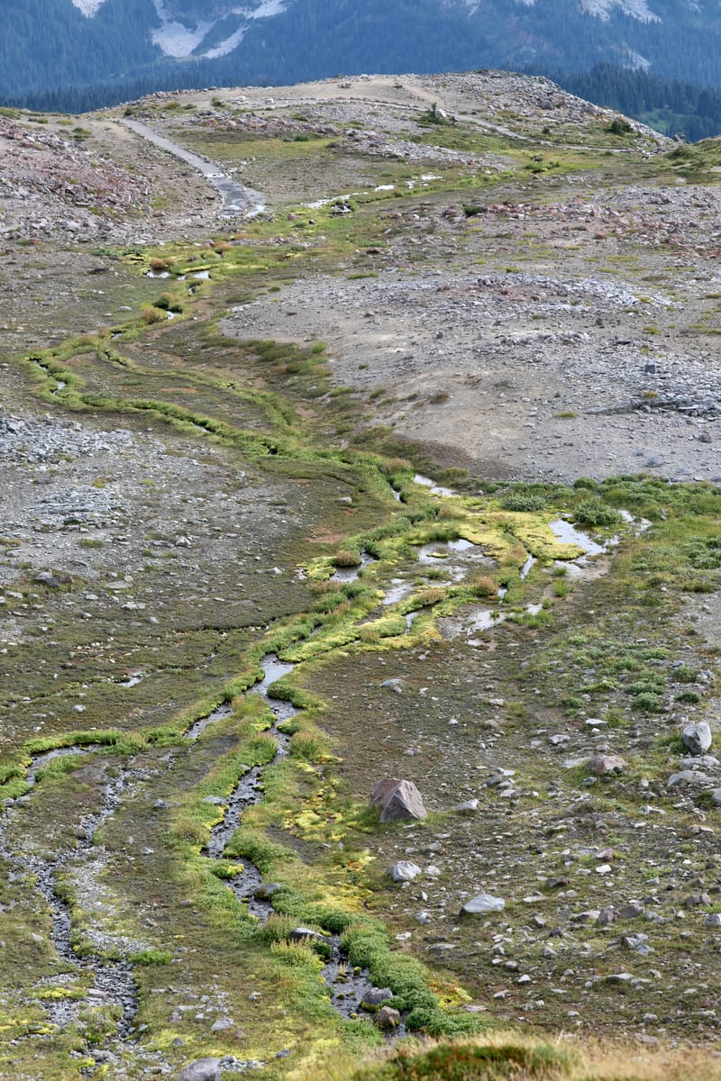 Chaîne volcanique des Cascades : Mount Rainier & Mount St Helens