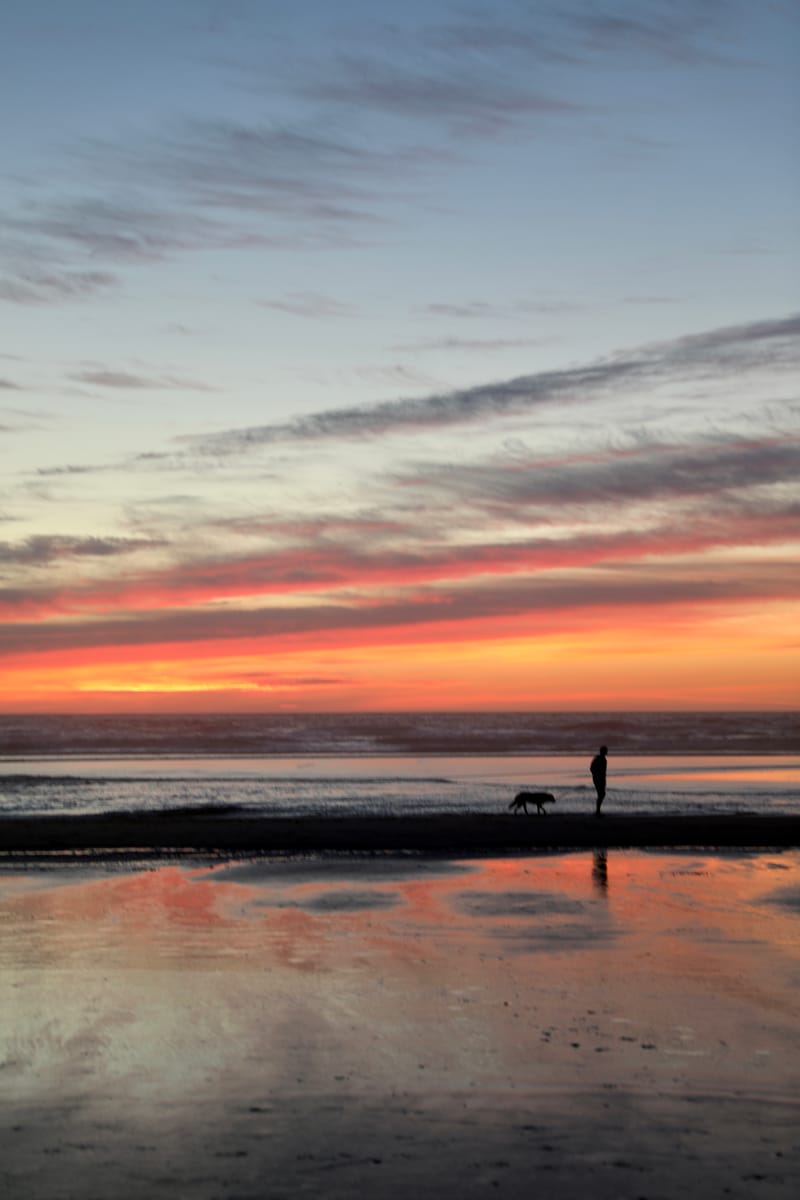 Cotes de l'Oregon 2 : Cannon Beach, Three Capes Scenic Drive, Yachats, Dunes