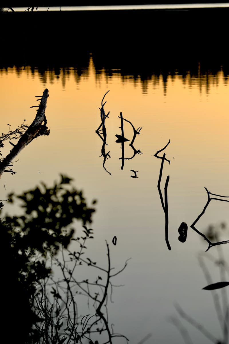 Oregon Est 1 : Cascade Lakes Scenic Hwy, Mount Bachelor & Three Sisters