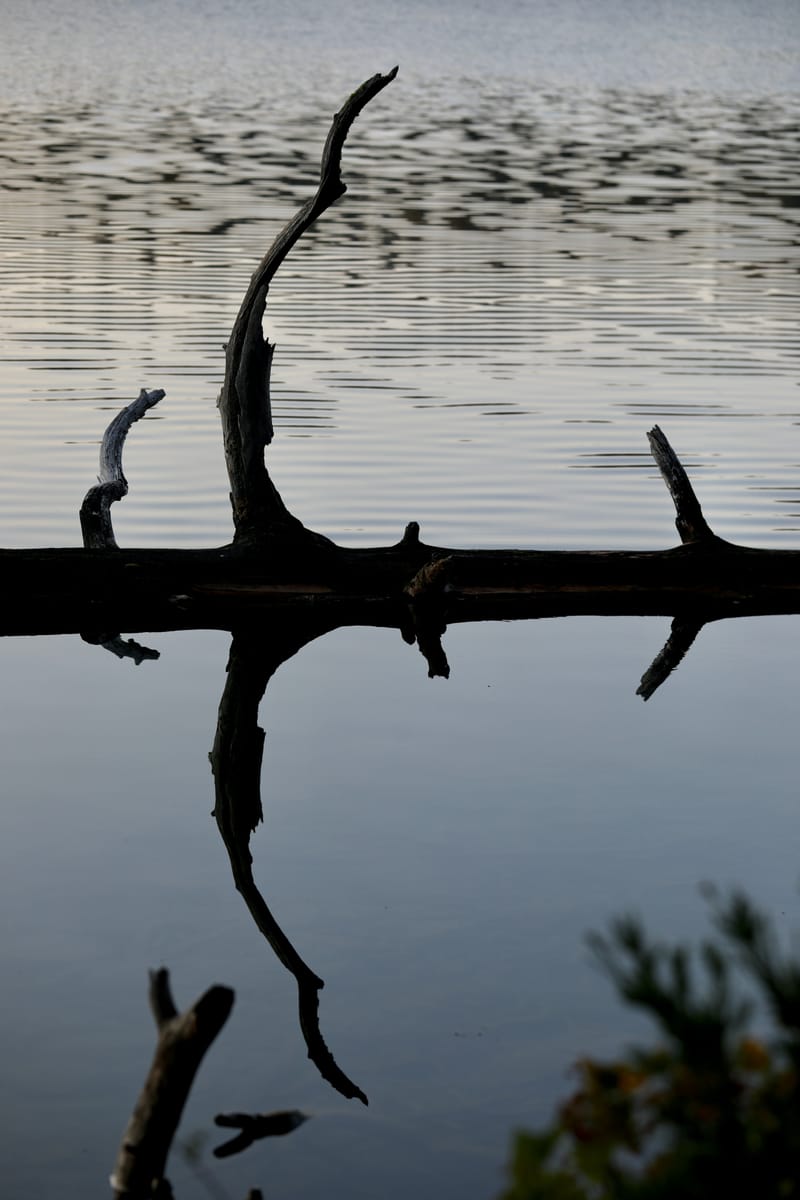 Oregon Est 1 : Cascade Lakes Scenic Hwy, Mount Bachelor & Three Sisters