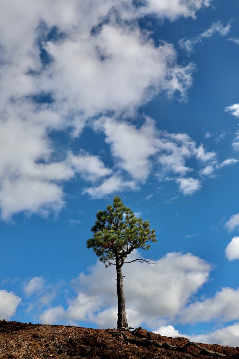 Oregon Est 2 : Bend, Newberry Ntl Volcanic Monument, Lava Lands, Paulina Peak