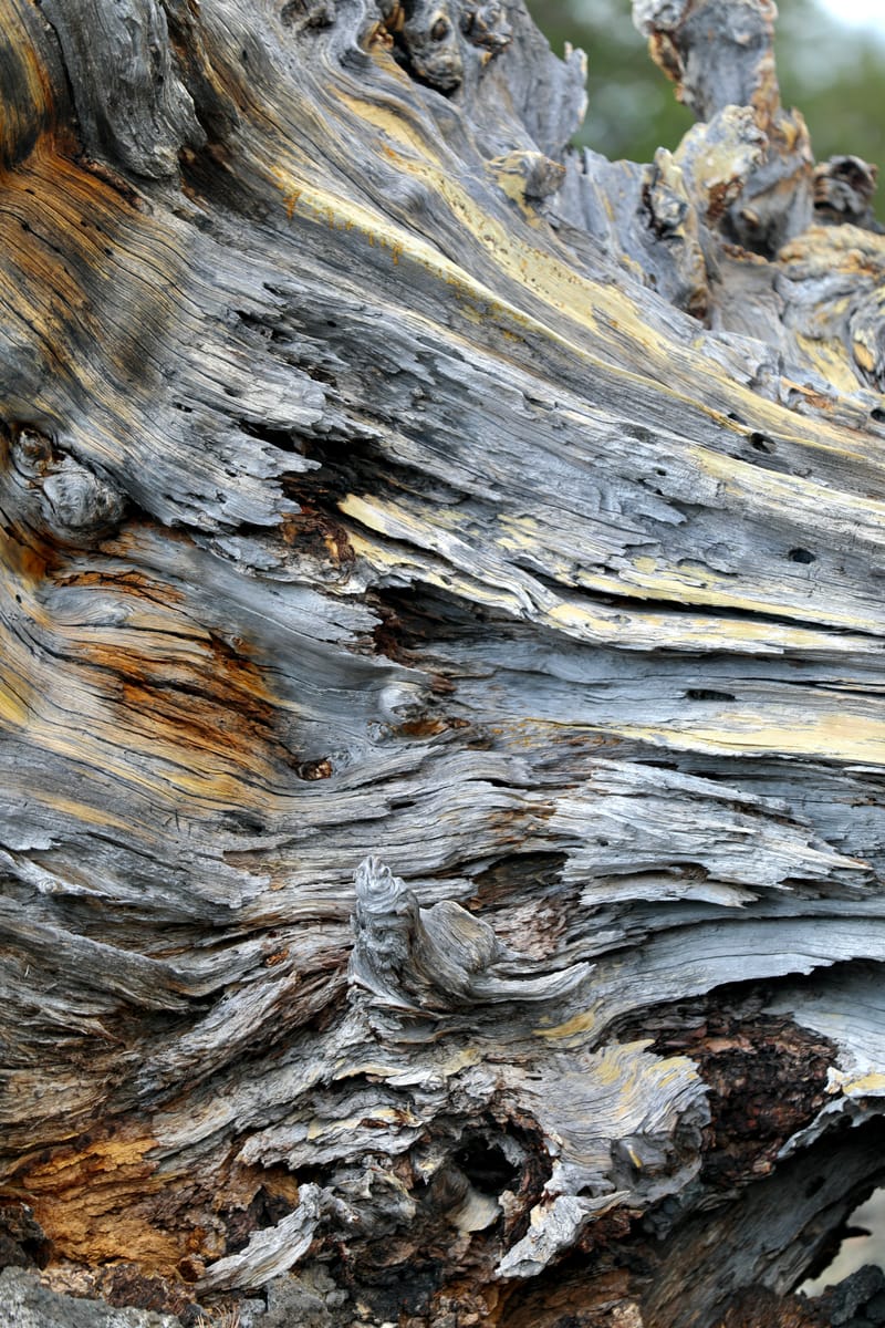 Oregon Est 2 : Bend, Newberry Ntl Volcanic Monument, Lava Lands, Paulina Peak