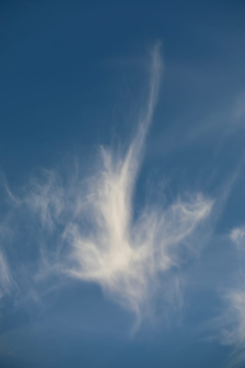 Oregon Est 2 : Bend, Newberry Ntl Volcanic Monument, Lava Lands, Paulina Peak