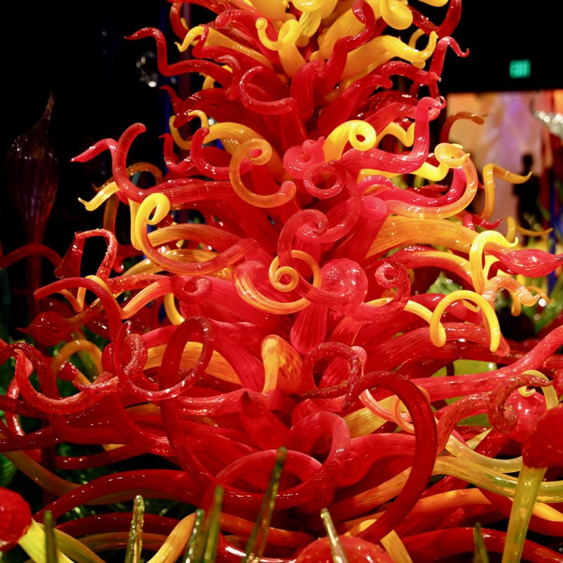 Focus sur "Chihuly Garden & Glass", Seattle