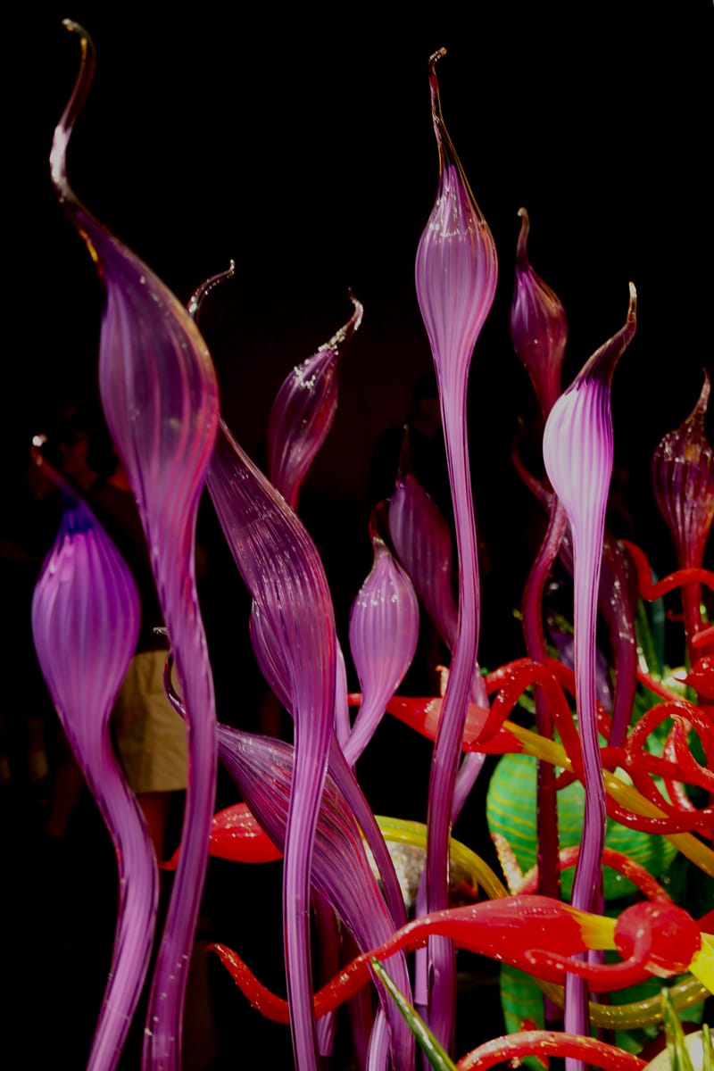 Focus sur "Chihuly Garden & Glass", Seattle