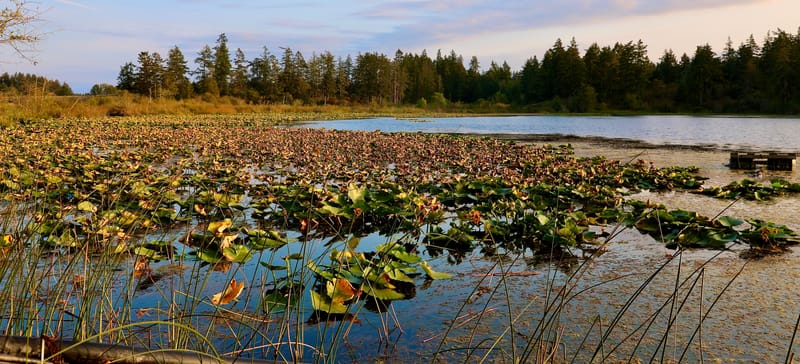 Le Top 50 - Etats de Washington & de l'Oregon