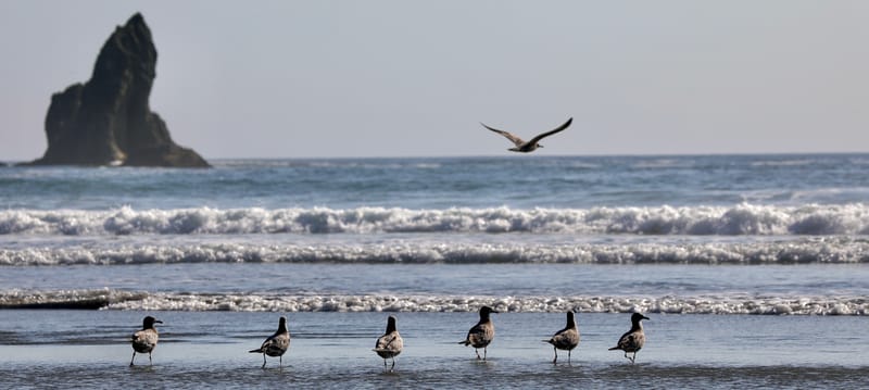 Le Top 50 - Etats de Washington & de l'Oregon