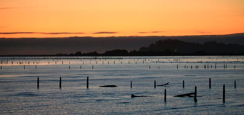 Le Top 50 - Etats de Washington & de l'Oregon