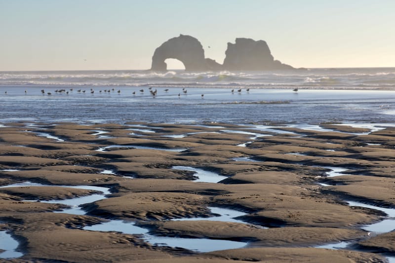 Le Top 50 - Etats de Washington & de l'Oregon