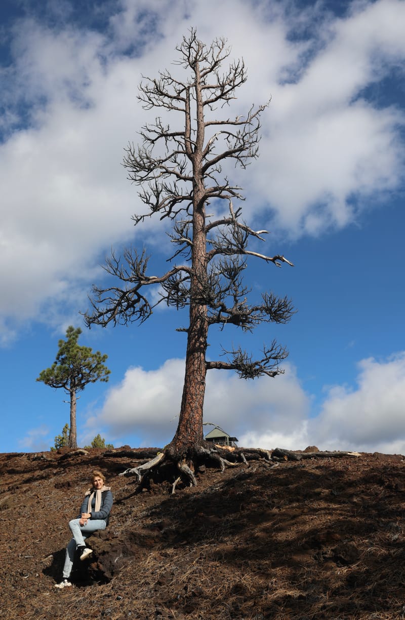 Le Top 50 - Etats de Washington & de l'Oregon